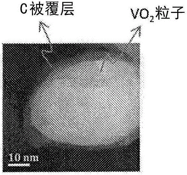 碳被覆二氧化釩粒子的制造方法與工藝