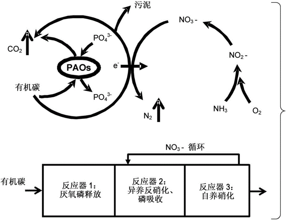 一种以含硫化合物为电子载体的硫循环协同作用反硝化强化生物除磷(SD‑EBPR)及污水处理的生物脱氮除磷的制造方法与工艺