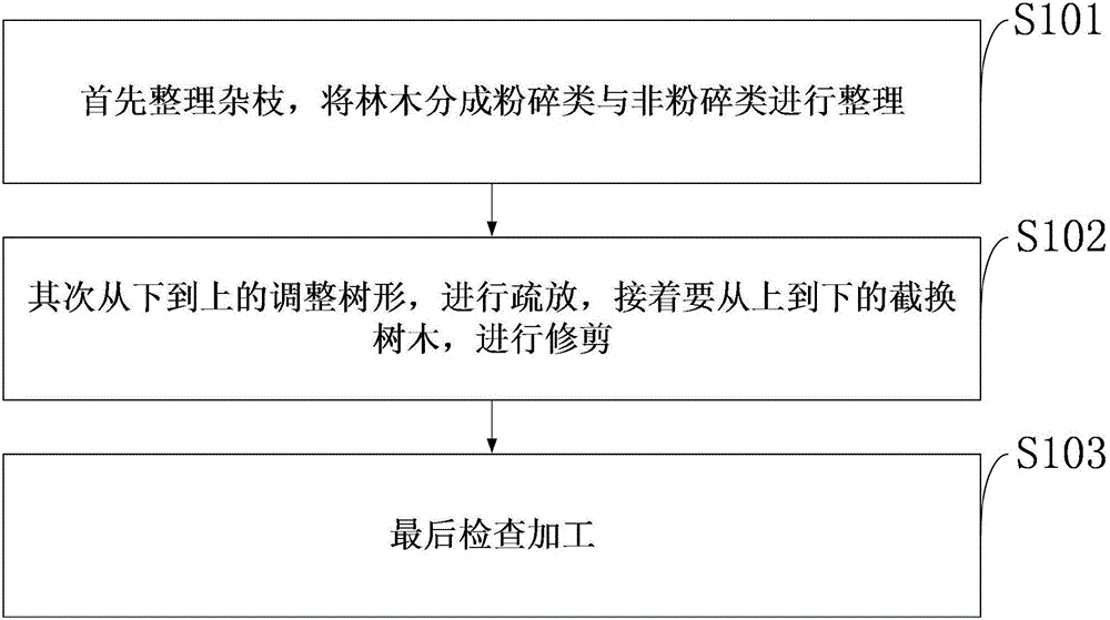 一種中高山地區三葉木通仿野生栽培中清林的方法與制造工藝