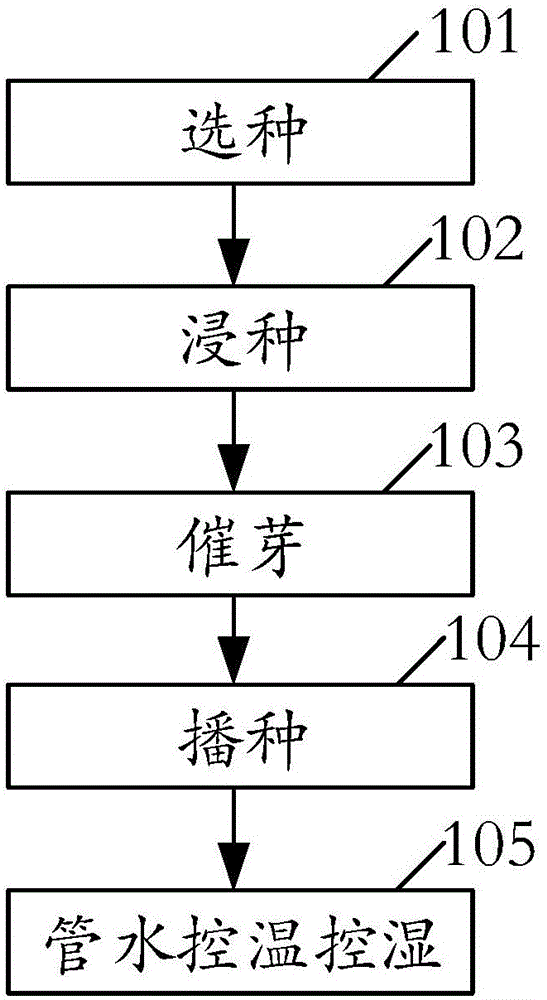 一種花生苗的培育方法與制造工藝