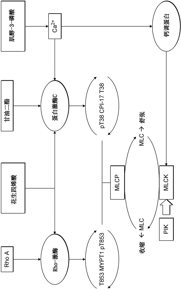 藥物遞送增強(qiáng)劑的制造方法與工藝