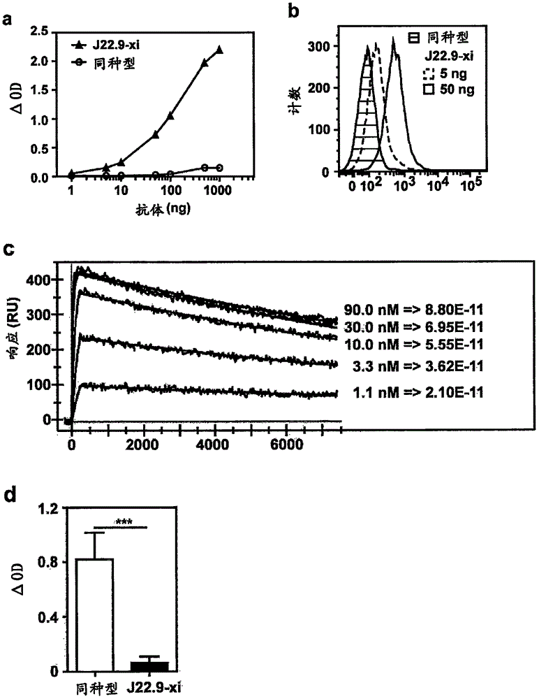 抗CD269(BCMA)人源化抗体的制造方法与工艺