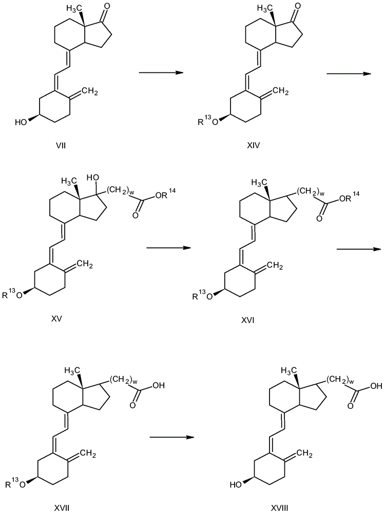 对维生素D差向异构体特异性的结合配偶体的制造方法与工艺