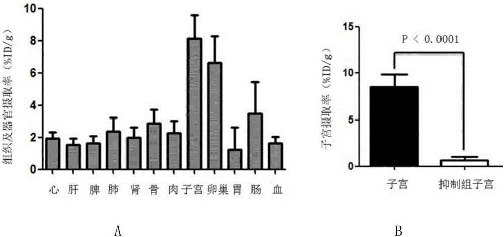 受体类分子靶向显像剂及其制备方法和应用与制造工艺