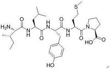 一種青蛤酶解寡肽的用途的制造方法與工藝