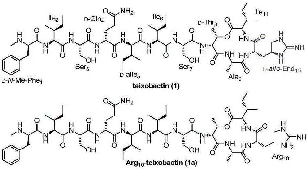 一种Teixobactin类似物及其制备方法和应用与制造工艺