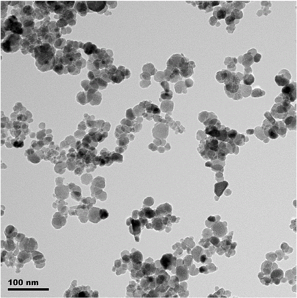 油酸包裹的超顺磁性纳米Fe3O4及其制备方法与制造工艺