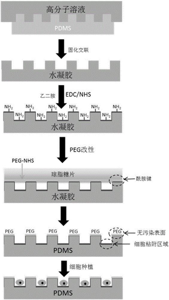 一種用于調控細胞三維微圖案化生長的水凝膠及其制備方法與制造工藝