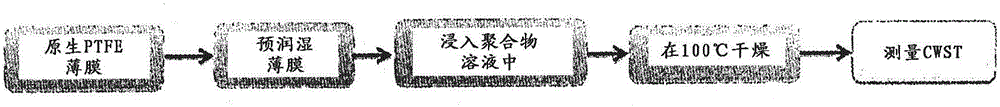 亲水改性的氟化薄膜的制造方法与工艺