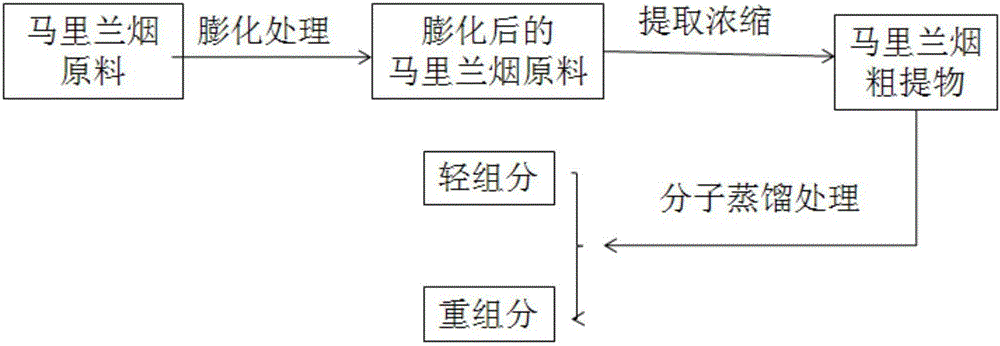 一種馬里蘭煙提取物的制備方法及其在卷煙中的應(yīng)用與制造工藝