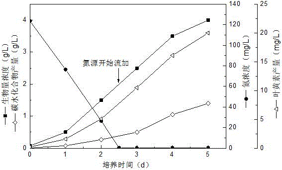 一種同步提高自養微藻的葉黃素和碳水化合物產量的方法與制造工藝