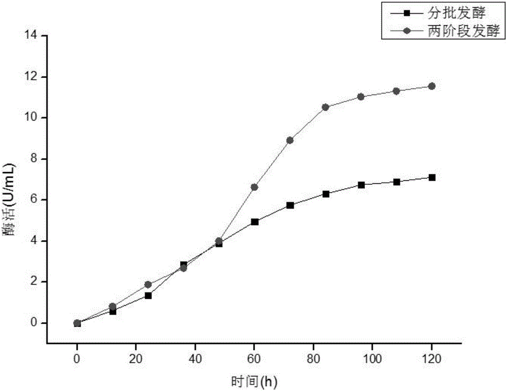 一種兩階段發(fā)酵提高畢赤酵母產(chǎn)膽鹽水解酶的方法與制造工藝