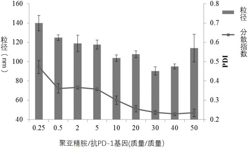 含抗PD?1基因和聚亞精胺的復合物及其在治療腫瘤中的應用的制造方法與工藝