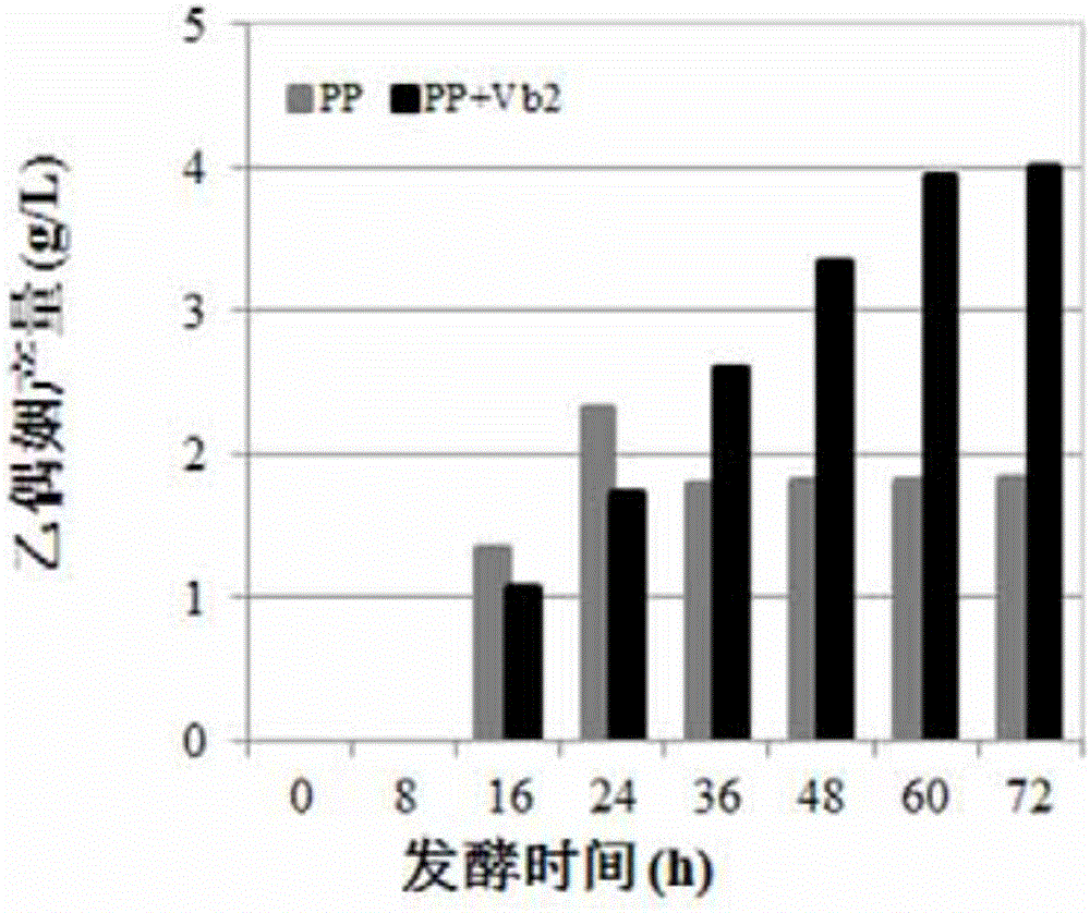 利用維生素B2提高乙偶姻產量的方法與制造工藝