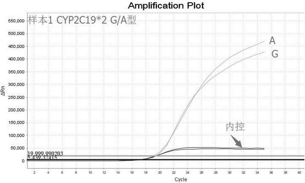 CYP2C19基因多態性檢測引物、探針及試劑盒的制造方法與工藝