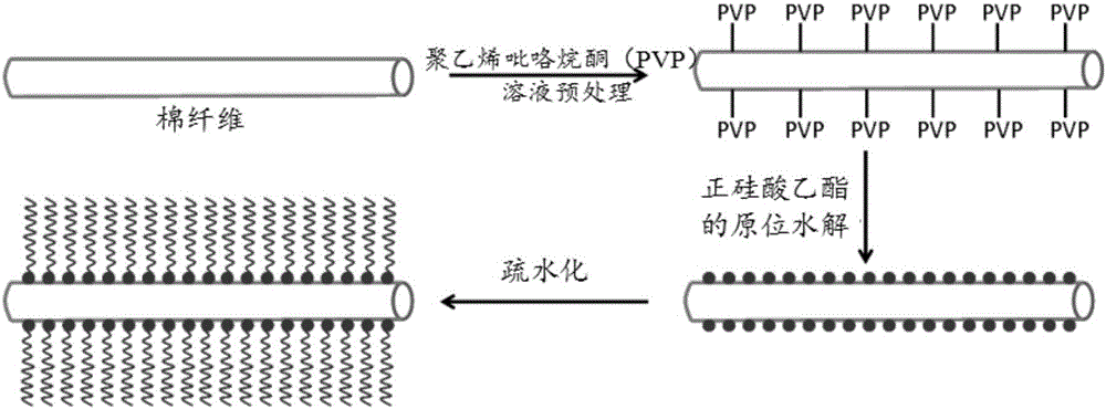 一種疏水親油棉纖維及其制備方法和應用與制造工藝