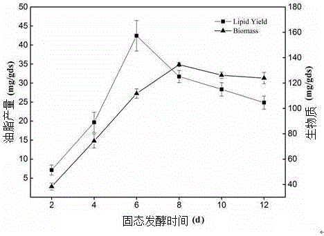 一株高效產(chǎn)油絲狀真菌卷枝毛霉Q?531及其應(yīng)用的制造方法與工藝