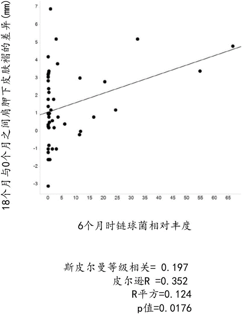 用于降低以后生命中肥胖风险的益生元的制造方法与工艺