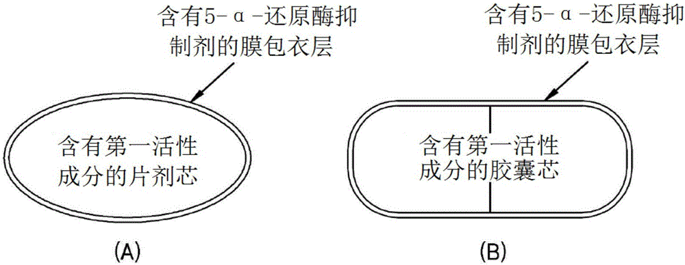 包括含有活性成分的膜包衣層的復(fù)合制劑的制造方法與工藝