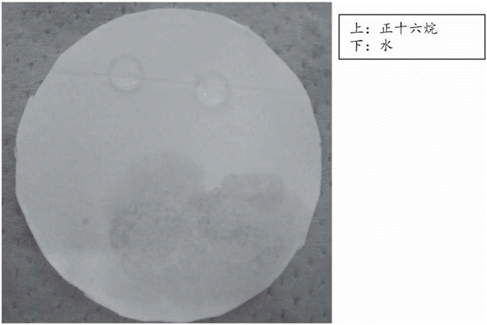 滤材、滤材的制造方法、水处理用模块及水处理装置与制造工艺