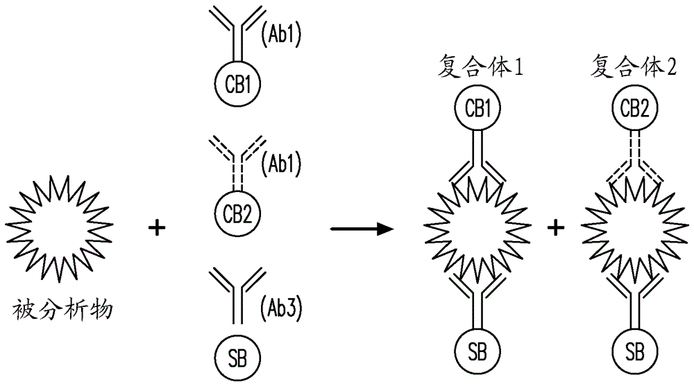 利用三種抗體的發光氧通道免疫測定及其生產和使用方法與製造工藝