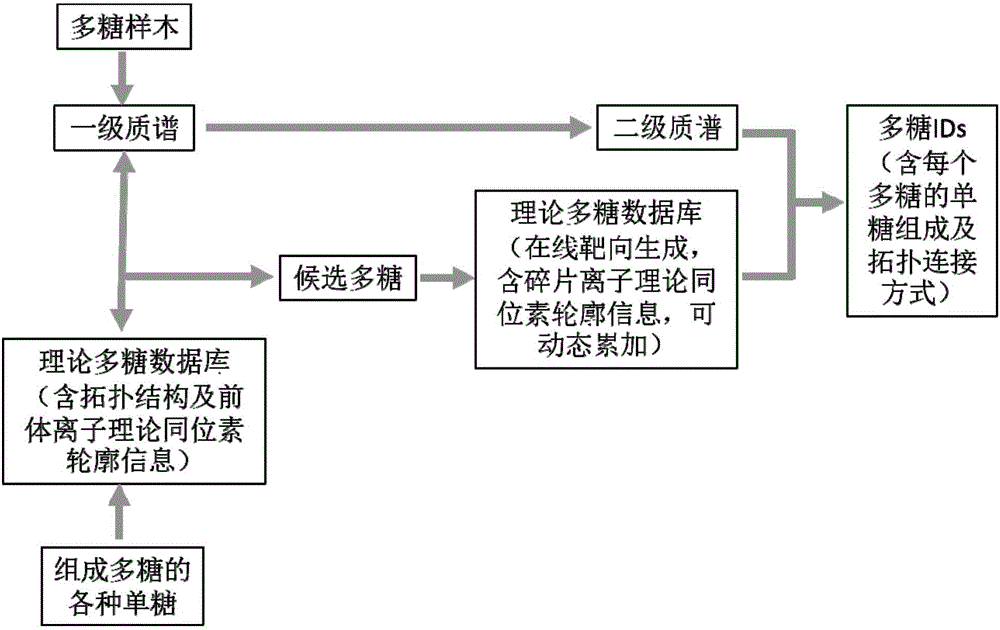 一種基于質(zhì)譜分析的多糖拓?fù)浣Y(jié)構(gòu)解析方法與制造工藝