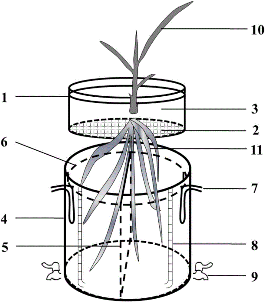 一种植物上土下水分根培养装置的制作方法