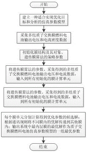 基于膜计算的质子交换膜燃料电池模型优化方法与制造工艺