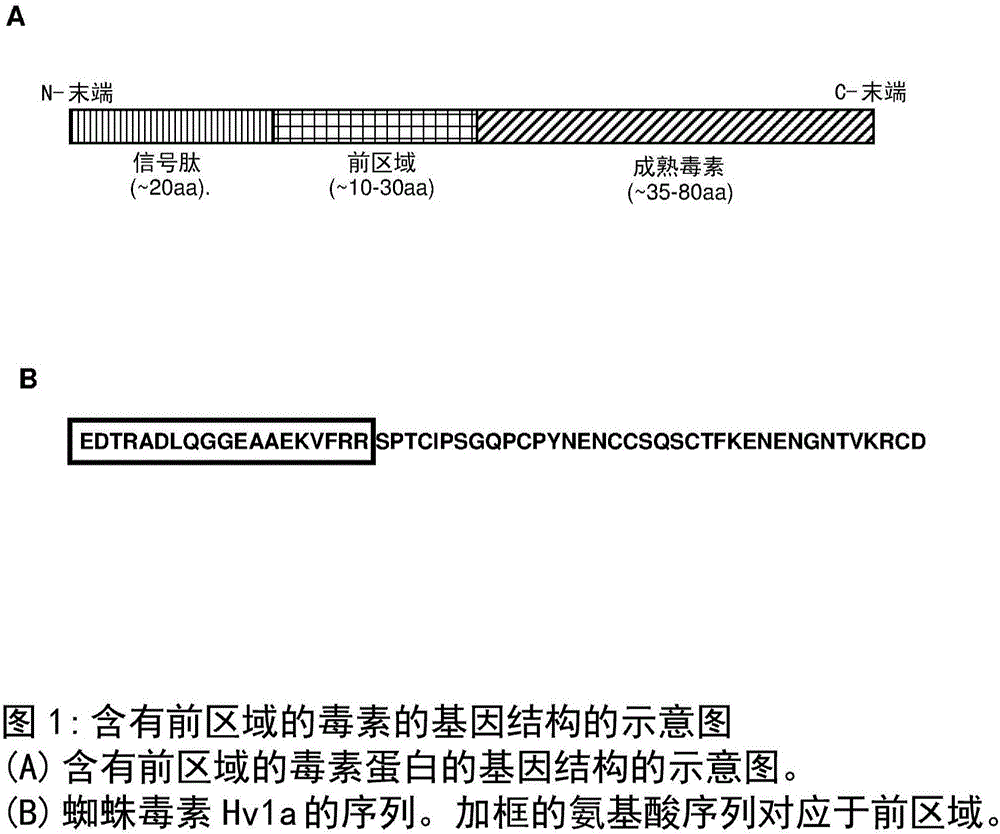 殺蟲(chóng)融合蛋白改進(jìn)的制造方法與工藝