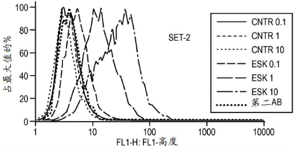 抗-WT1/HLA雙特異性抗體的制造方法與工藝