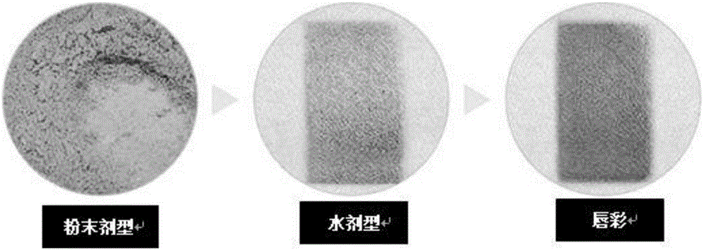 發(fā)色及使用感得到改善的持久型粉末精華素組合物及其制備方法與制造工藝