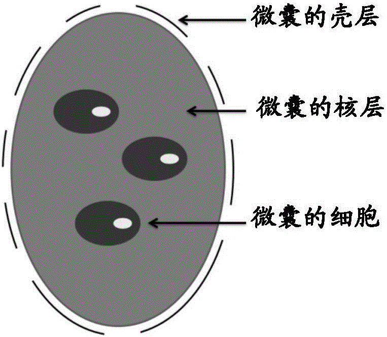 一种制备复合结构的方法与制造工艺