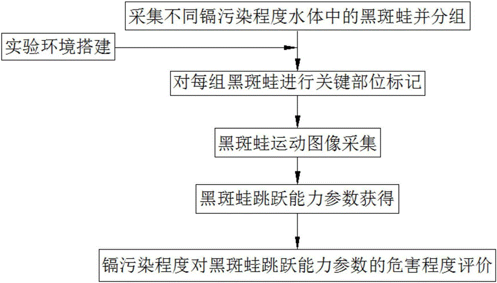 一种水体镉污染对两栖动物危害程度的评价方法与制造工艺