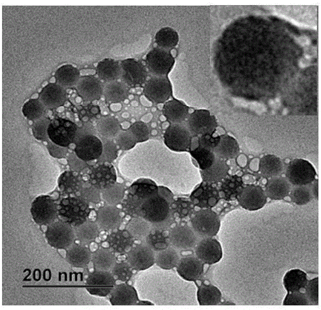 一種用于micro RNA檢測的電化學發光活性DNA納米探針的制備方法與制造工藝