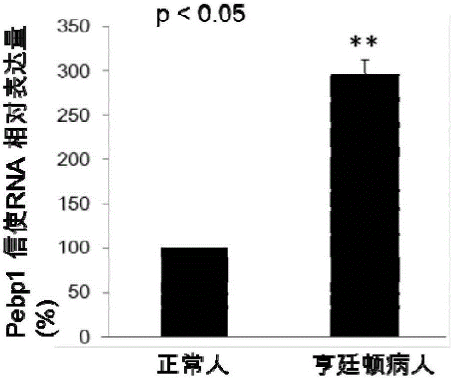 用于亨廷頓病診斷的基因及其應用以及由其編碼的蛋白和蛋白的應用的制造方法與工藝