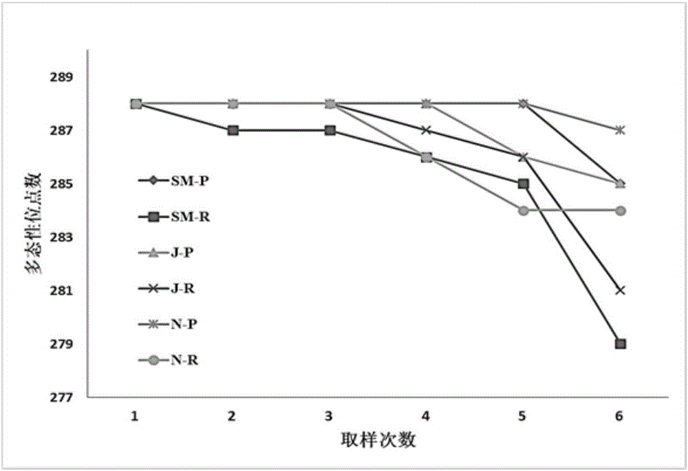 一種基于SSR分子標記構(gòu)建甘薯核心種質(zhì)資源庫的方法與制造工藝