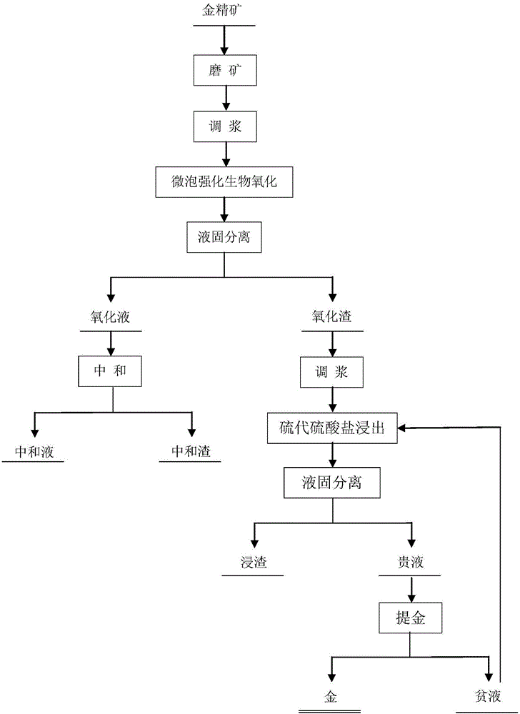 一种难处理金精矿的微泡强化生物氧化预处理方法与制造工艺