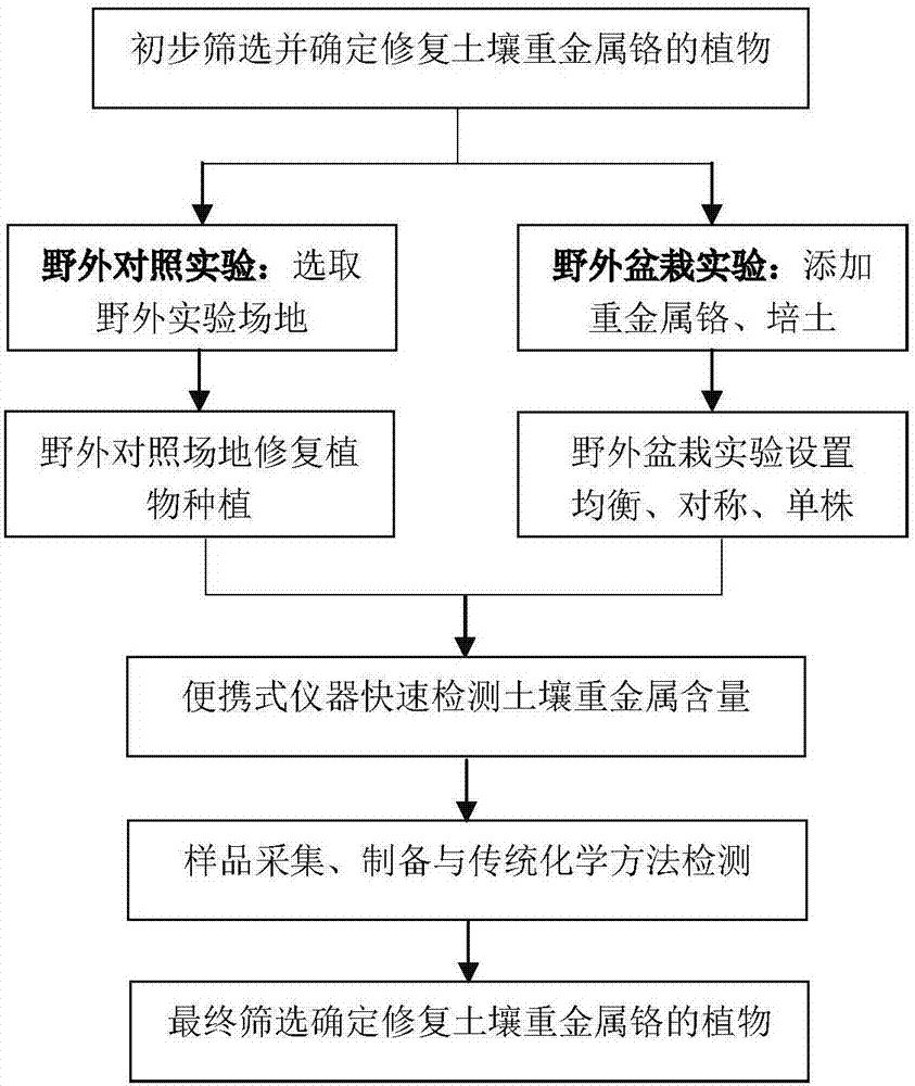 一種土壤重金屬鉻修復(fù)植物的篩選方法與流程