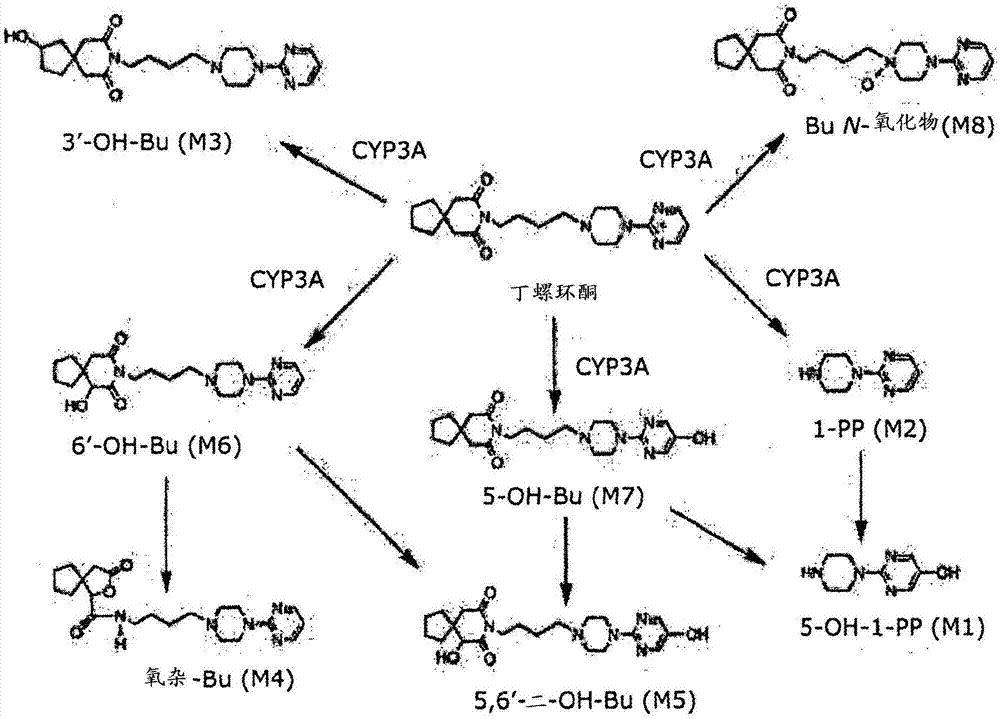 丁螺环酮代谢物的用途的制作方法