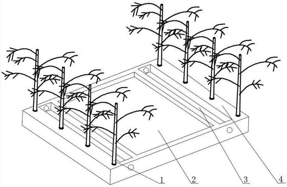 技術::橡膠樹(heveabrasiliensis)是大戟科(euphorbiaceae)多年生喬木