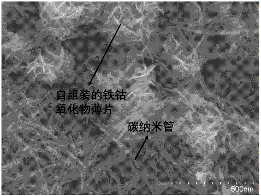 一種雙金屬氧化物/碳氮/碳納米管複合物及應用的製作方法