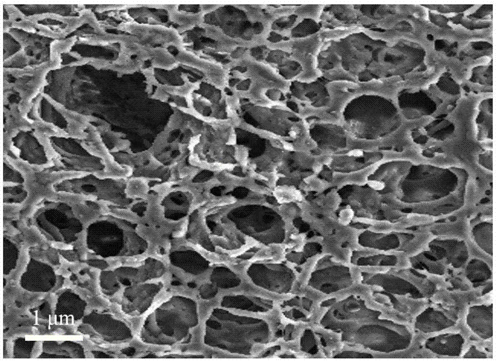 活性炭多孔结构图片