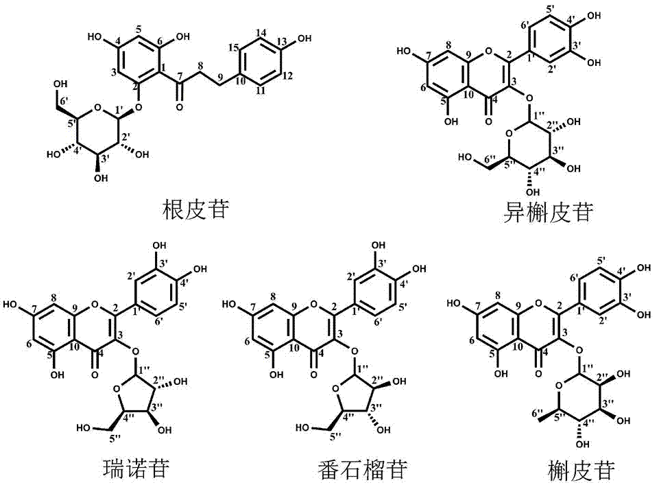 苹果多酚在制备治疗或预防阿尔茨海默病药物中的应用的制作方法