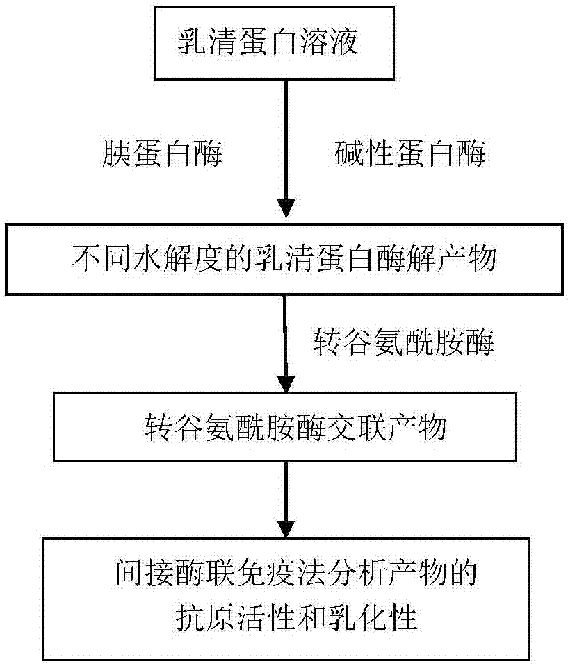 一種蛋白酶水解耦合轉谷氨醯胺酶交聯修飾製備低致敏性乳清蛋白的方法