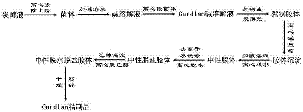 然胶)是一种以葡萄糖,蔗糖等糖类为原料由土壤杆菌(agrobacteriumsp