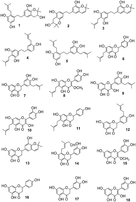 几种异戊烯基二氢茋和异戊烯基黄酮的结构和用途的制作方法