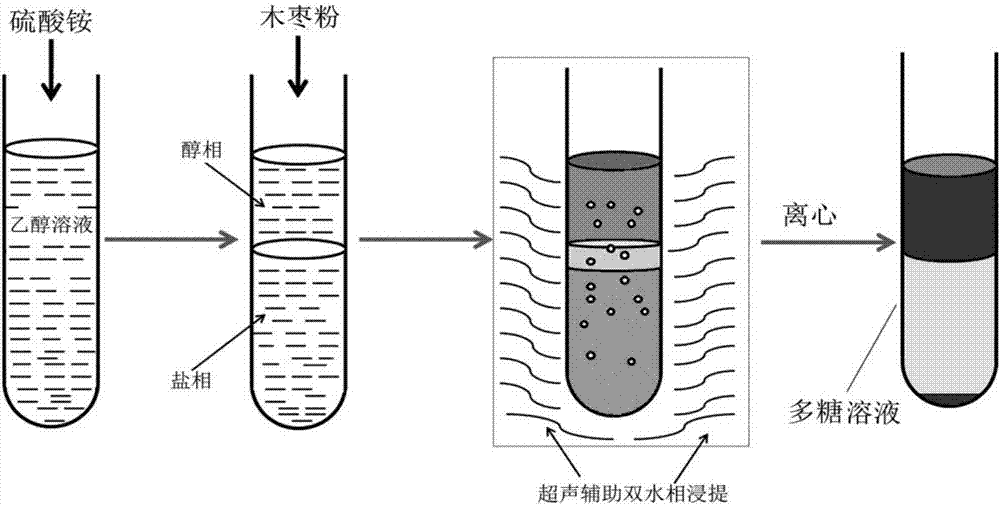 一种木枣多糖的双水相体系提取方法与流程