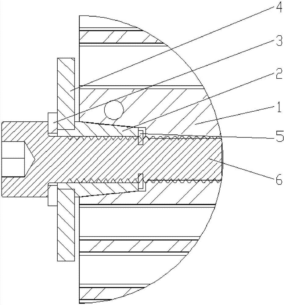 墊圈(3),卡環(5)和連接件(6);所述內鑲件(2)是外壁為圓錐狀結構的筒體