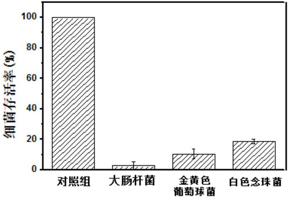 一种抗菌液体护创液及其制备方法与流程