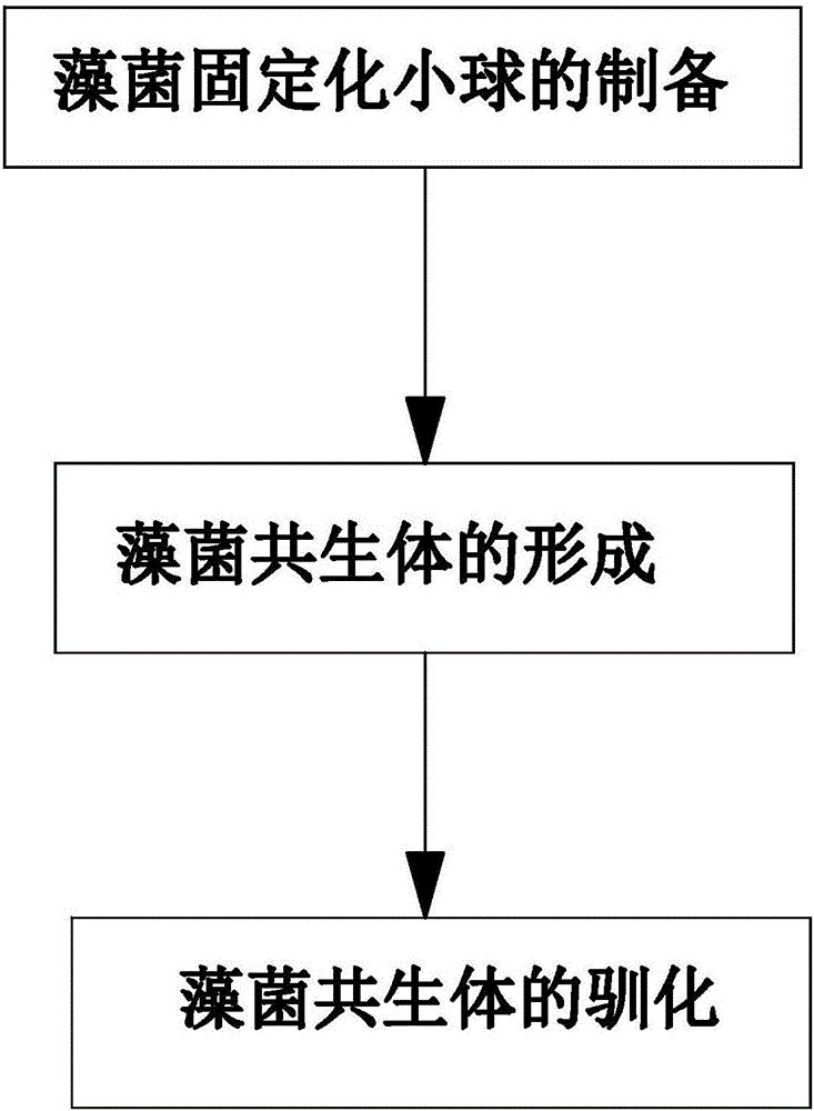 一种处理沼液的菌藻共生系统及其应用的制作方法